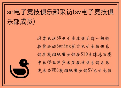 sn电子竞技俱乐部采访(sv电子竞技俱乐部成员)